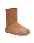 UGG Guard - Chestnut
