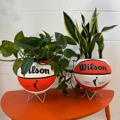 WNBA Basketball Planter (IN STORE PICK UP ONLY)