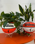 WNBA Basketball Planter (IN STORE PICK UP ONLY)