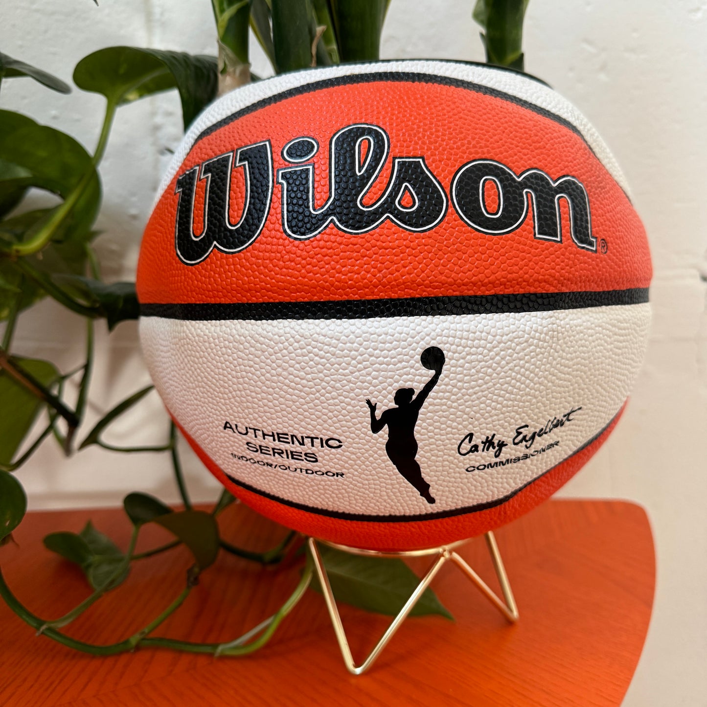 WNBA Basketball Planter (IN STORE PICK UP ONLY)