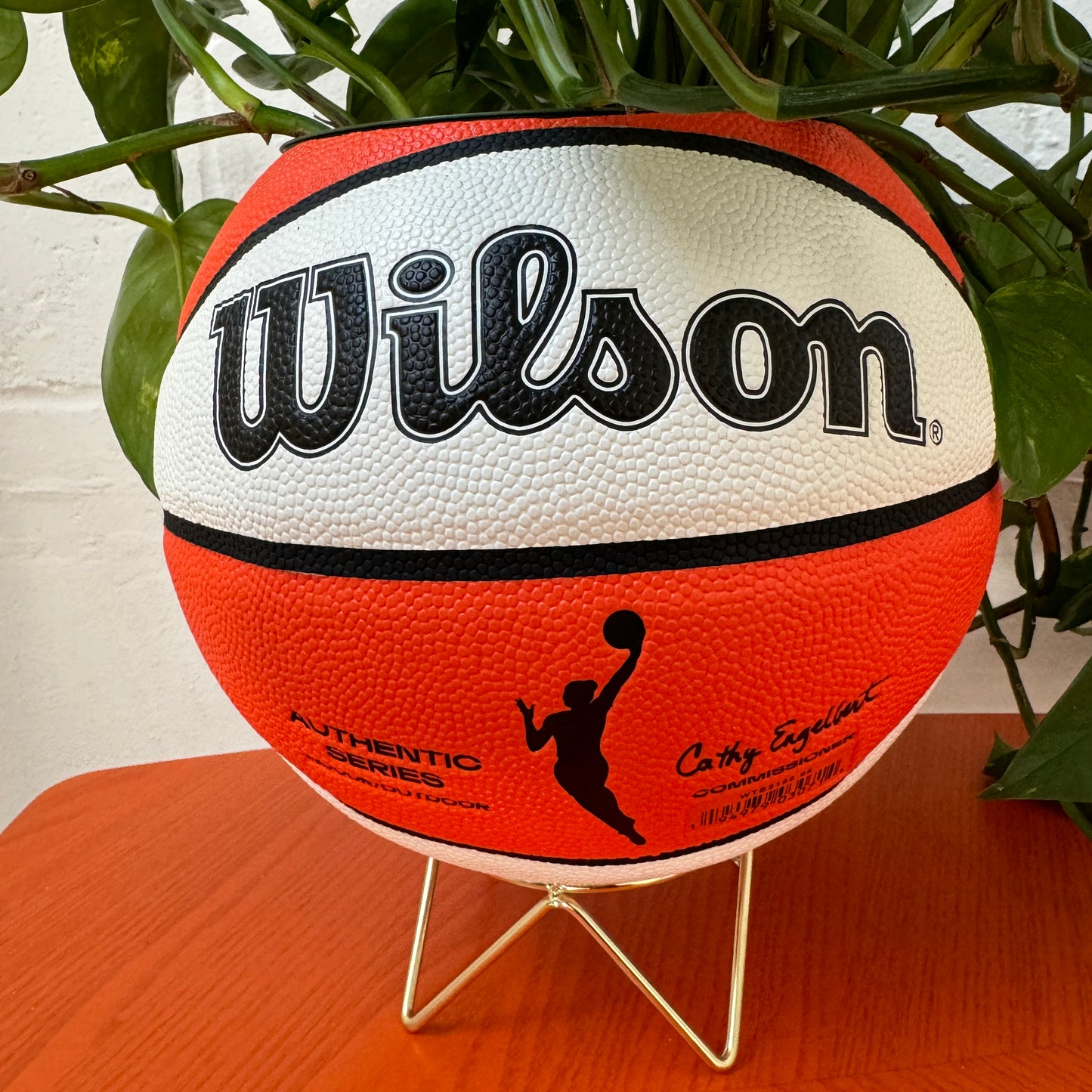 WNBA Basketball Planter (IN STORE PICK UP ONLY)