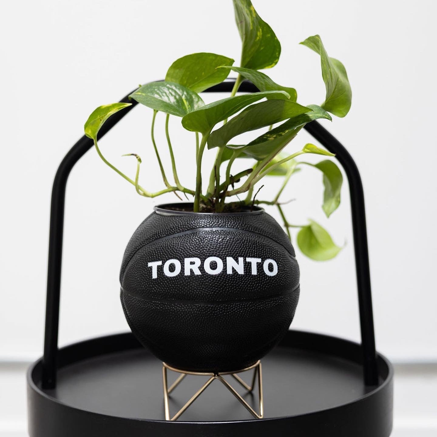 Give & Grow Basketball Planter (In Store Pick Up Only)