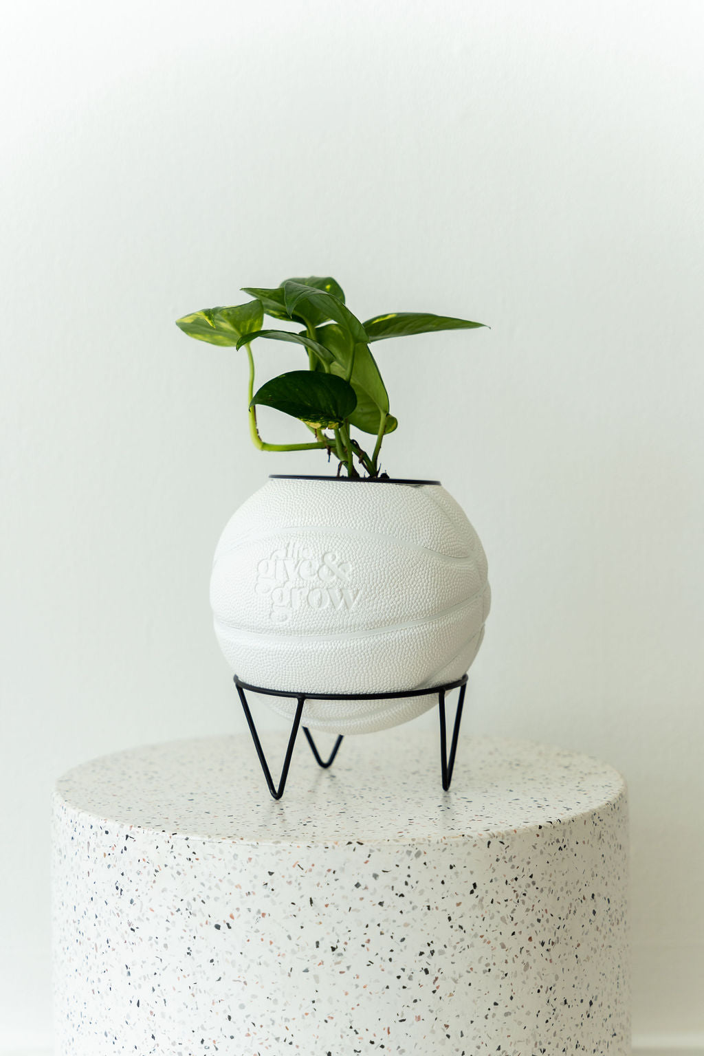 Give & Grow Basketball Planter (In Store Pick Up Only)