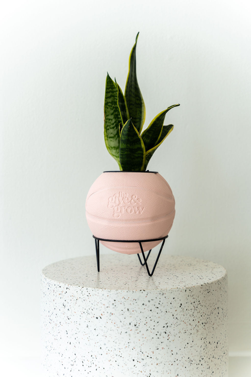 Give & Grow Basketball Planter (In Store Pick Up Only)