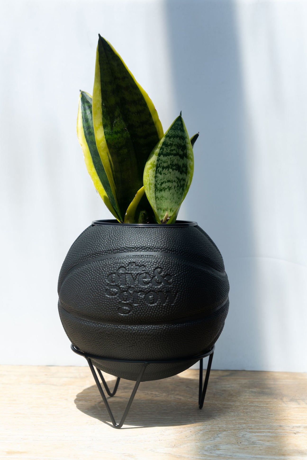 Give & Grow Basketball Planter (In Store Pick Up Only)