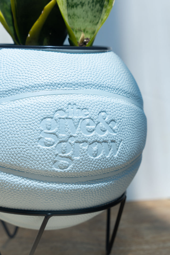 Give & Grow Basketball Planter (In Store Pick Up Only)